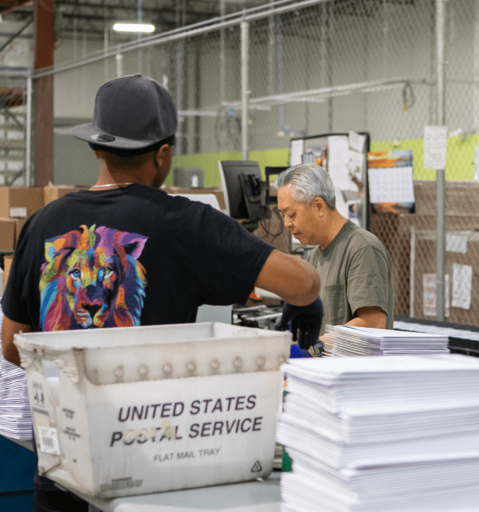 People working in a mail sorting facility